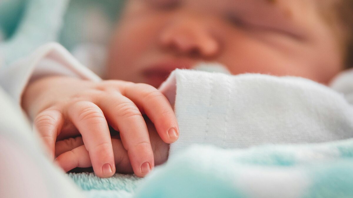    Фото: unsplash.com