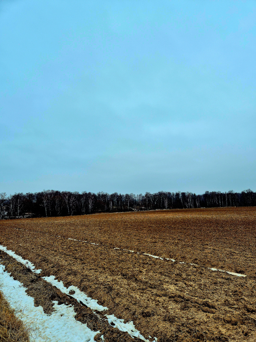 Вы представляете!!!! Вот такой январь в Подмосковье. 25 января 2025 года