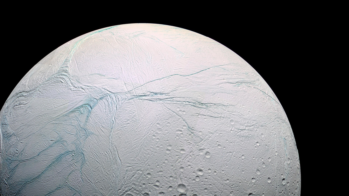 красавица Европа