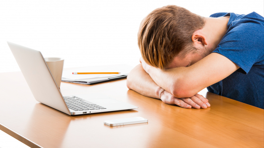    Фото: www.globallookpress.com/© Erik Reis - IKOstudio; 5-tv.ru