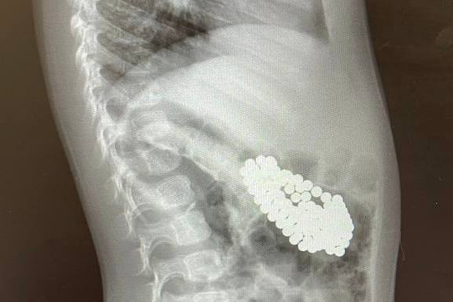    пресс-служба Минздрава МО