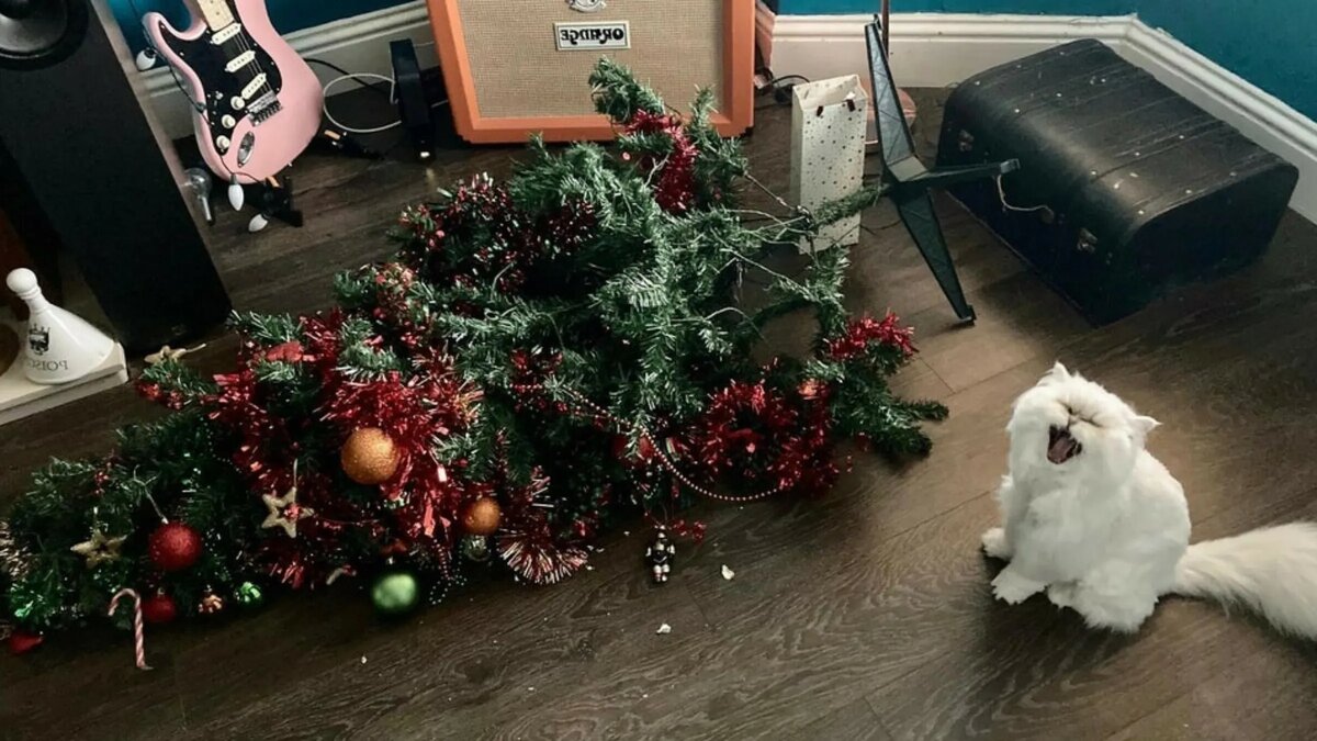 - Ээх, сруубиил он нашу елочку, под саамый ...