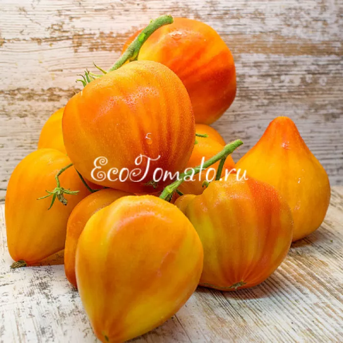 Фото взяла с сайта коллекционера Алёны Ворониной. Ну, посмотрите на эту красоту!