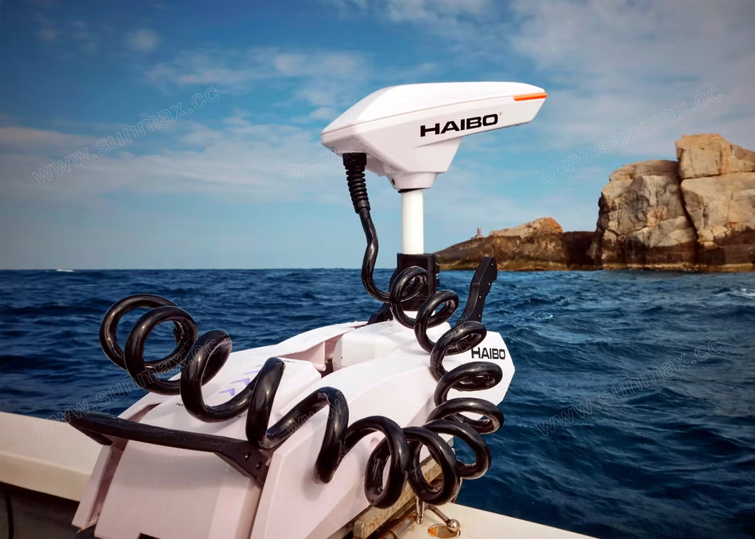 HAIBO P002 24V с компасом