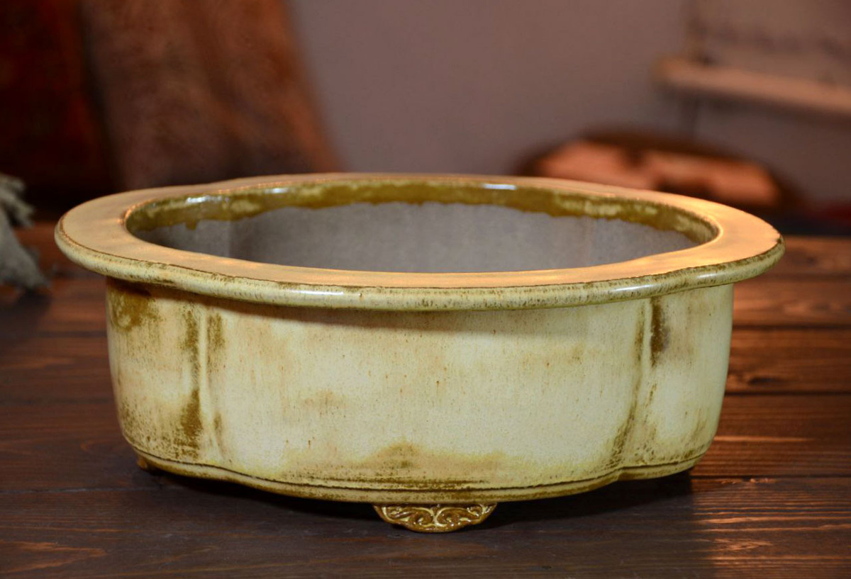 Пример моего горшка для бонсай в форме мокко
