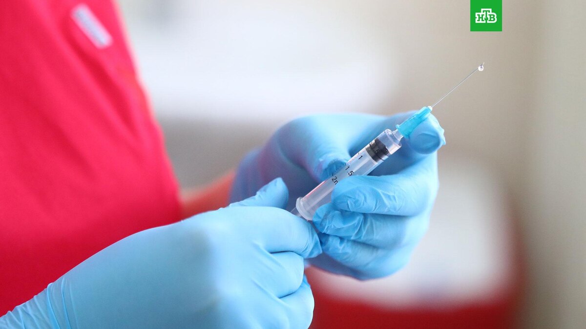    Фото: РИА Новости © 2025, Кирилл Брага