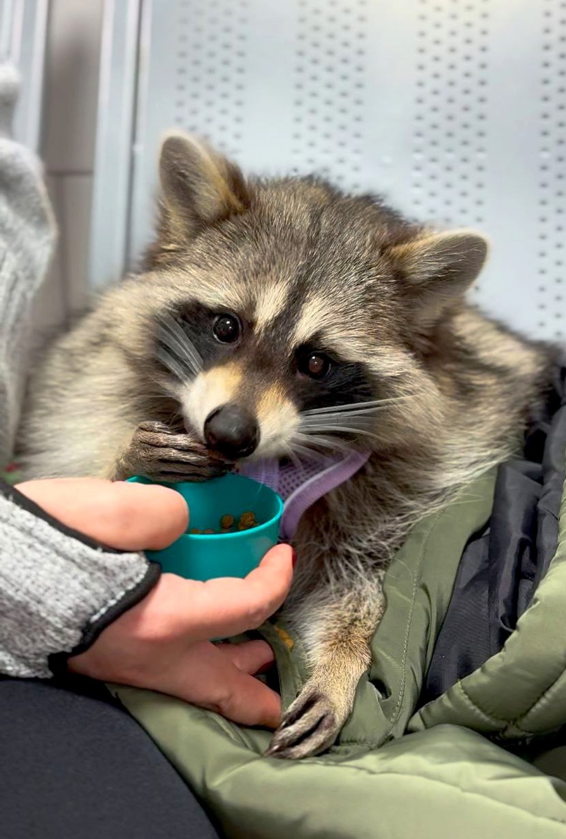 Фото: пресс-служба Мосветобъединения