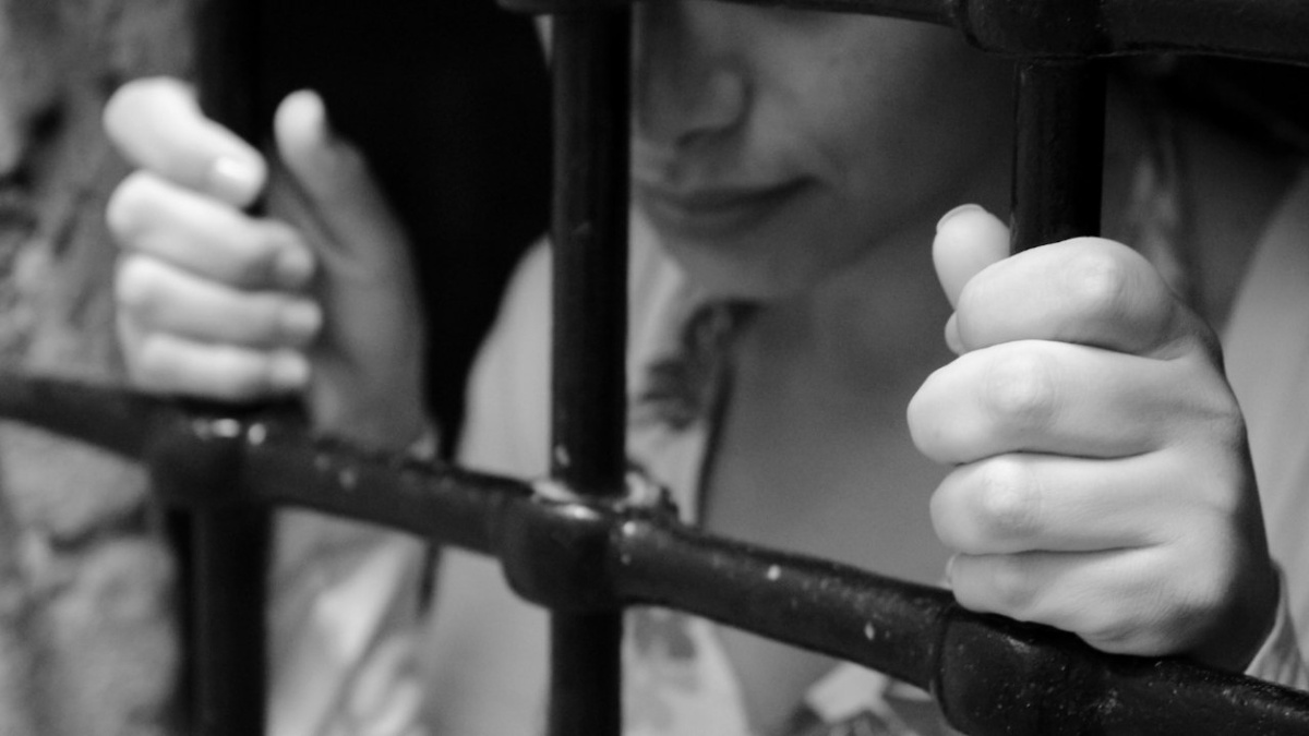 Из открытого доступа