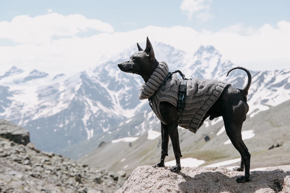 Кенни на фоне Эльбруса