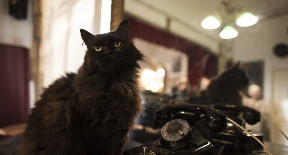    Медиасток.рф