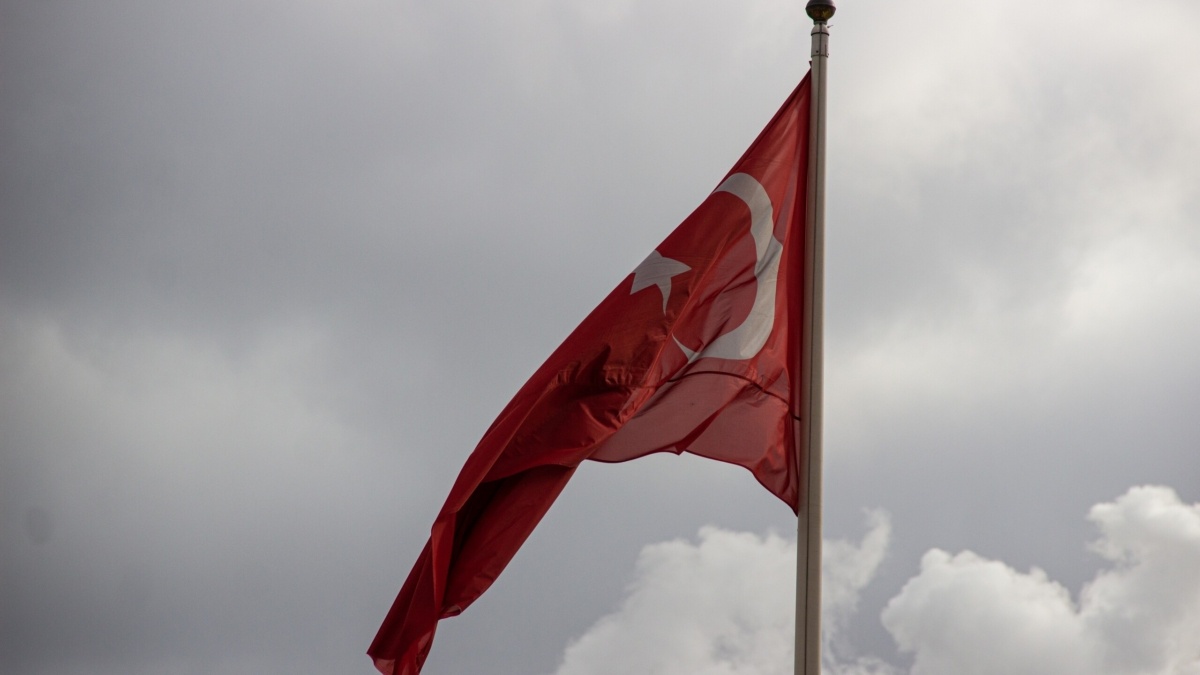 Фото: ИА SM-News📷
