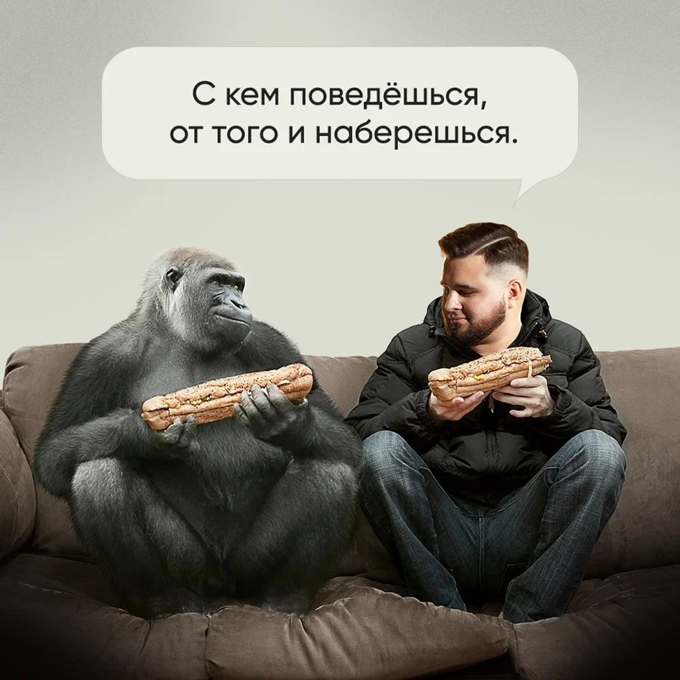 У того и наберешься. С кем поведешься. Итальянские пословицы. У того и наберешься. У того и наберешься.