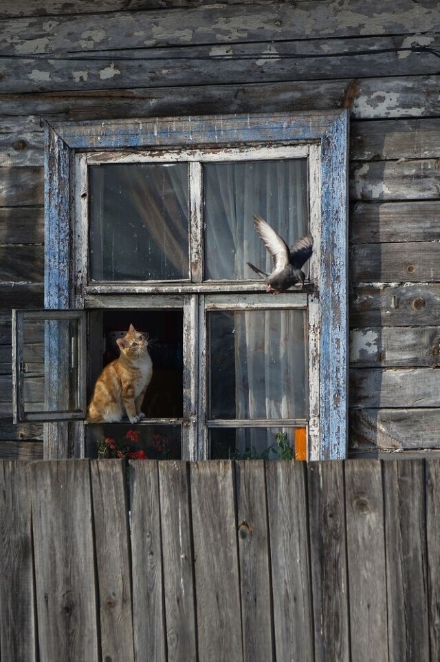 Фотограф Сергей Флоренцев
Фотограф Сергей Флоренцев
Фотограф Сергей Флоренцев
Фотограф Сергей Флоренцев
Фотограф Сергей Флоренцев
