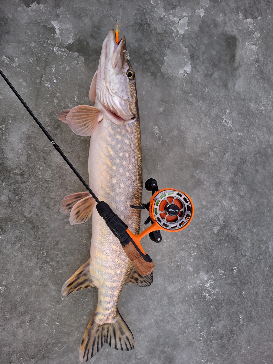 Артикул на WB 183644403