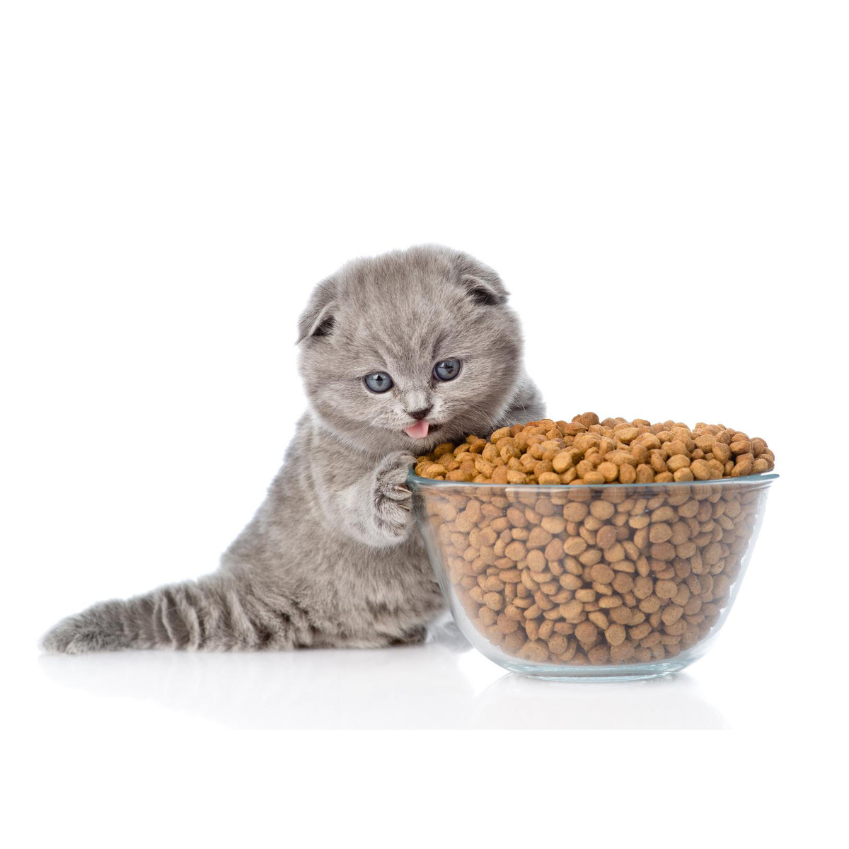 Яндекс.Картинки