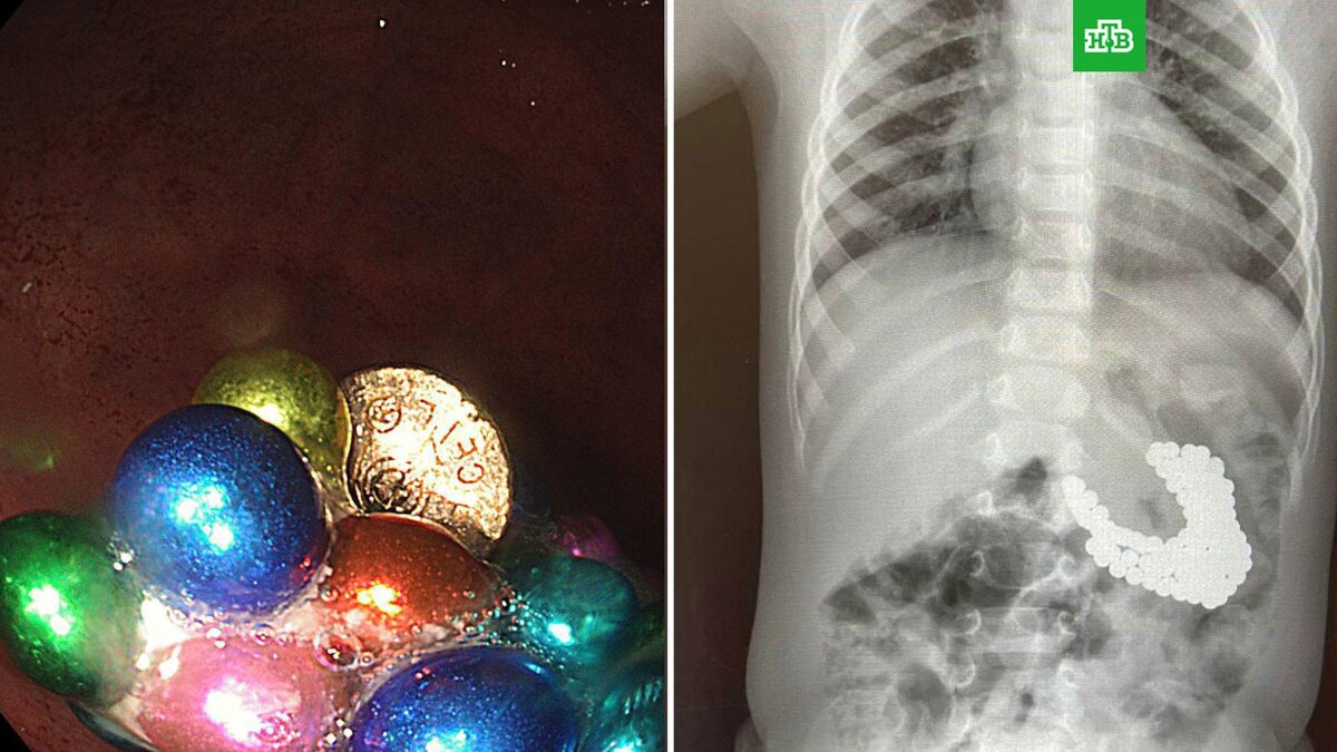    Фото: mz.mosreg.ru