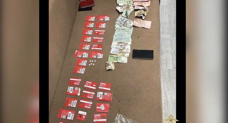    Кадр из видео УМВД России по Еврейской автономной области