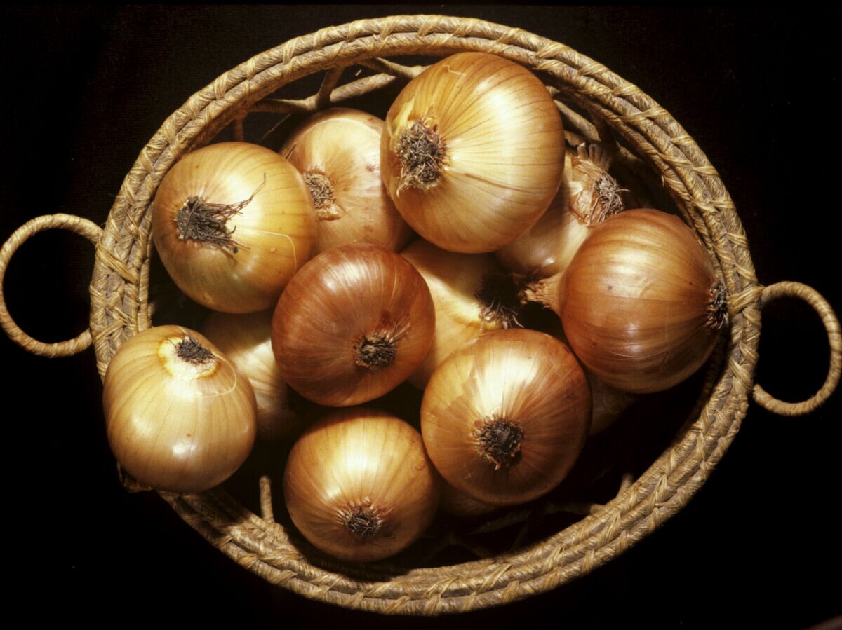    Лук репчатый© РИА Новости / Владимир Первенцев