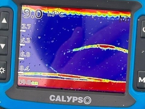 В настройках эхолота Calypso можно выбрать одну из трех цветовых схем: светлую, синюю или черную. Используйте наиболее удобную