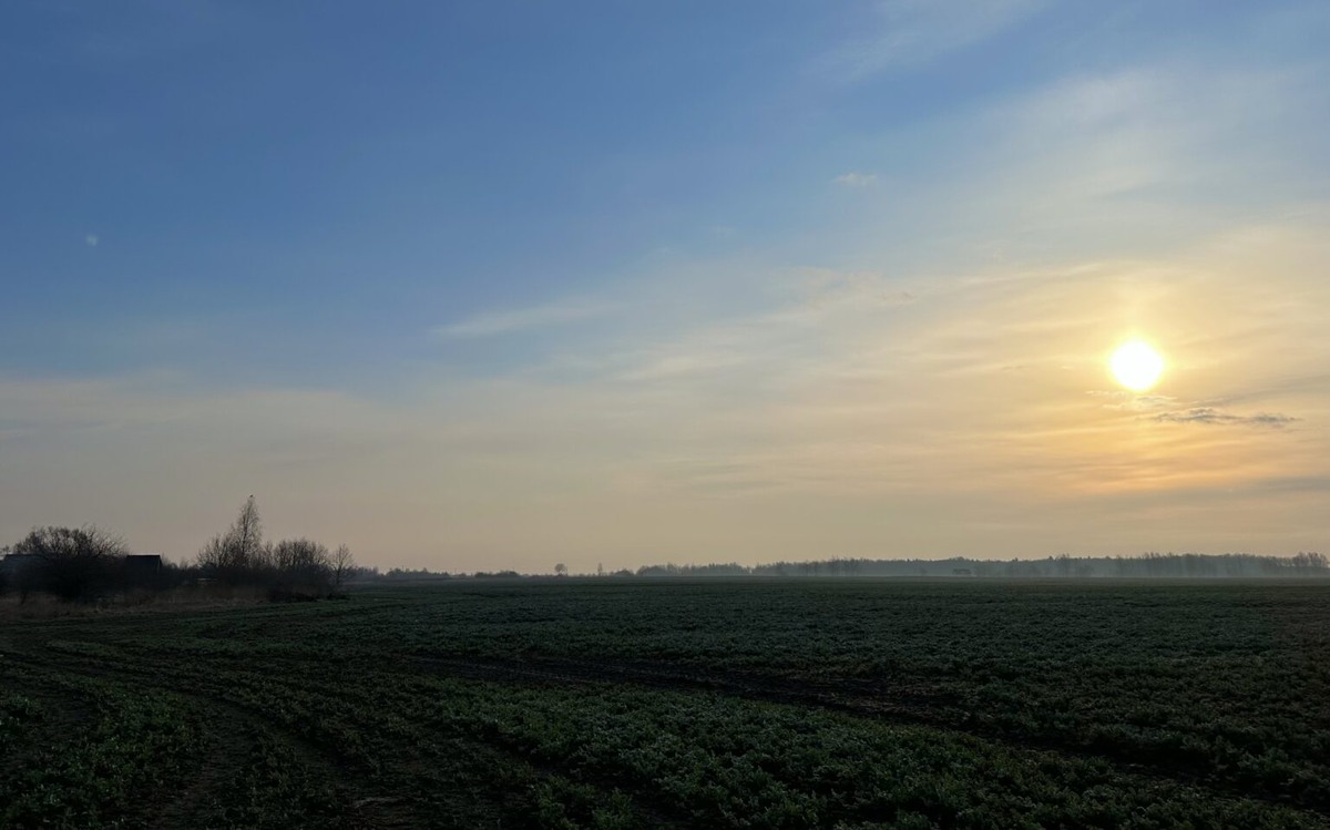 Восход в полях, близ посёлка Огиб.