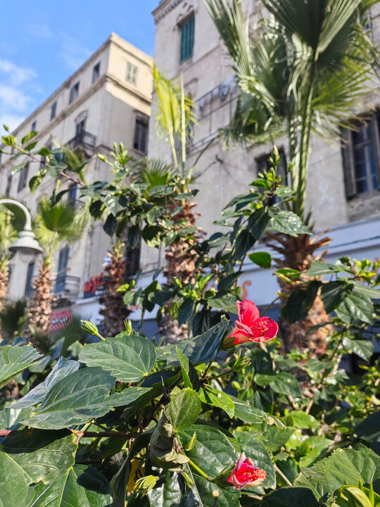 Перед рестораном