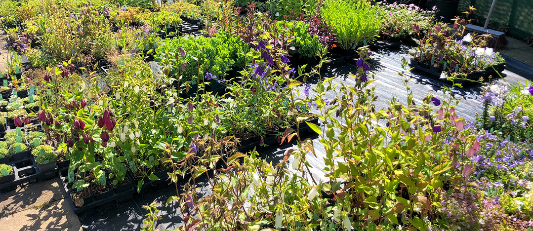 Хозяйство Петерсов. Фрагмент. С их сайта.