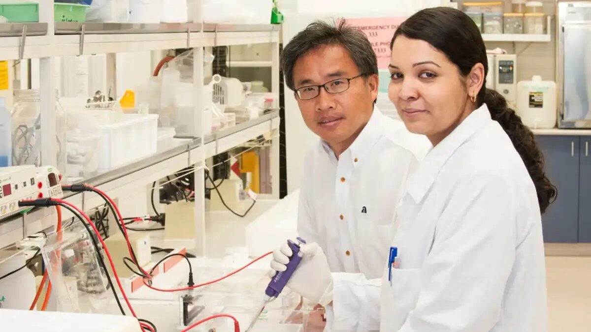 Фото:wa.gov.au
Директор Western Crop Genetics Alliance профессор Ченгдао Ли и научный сотрудник DPIRD Шэрон Уэсткотт внесли свой вклад в работу международного консорциума, который обновил геном ячменя
