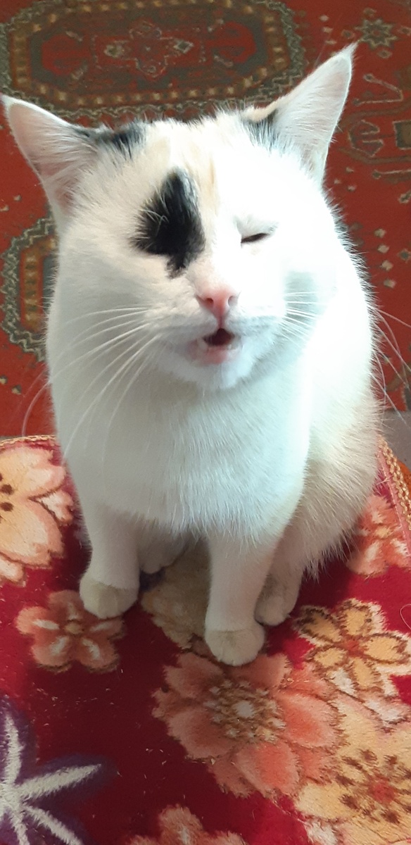 Давайте уже рыбов!