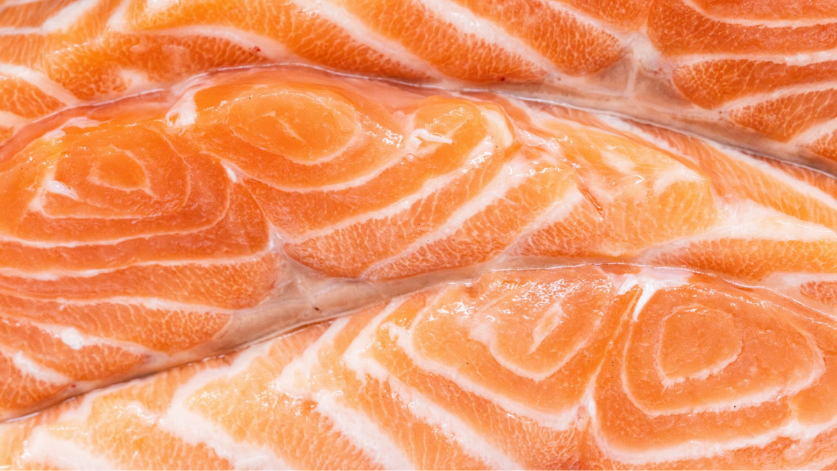 Лосось — пища для мозга
