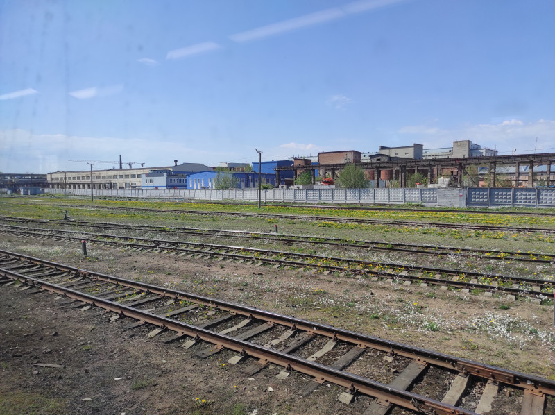 За окнами майские рельсы, поросшие одуванчиками и какими-то белыми цветочками
