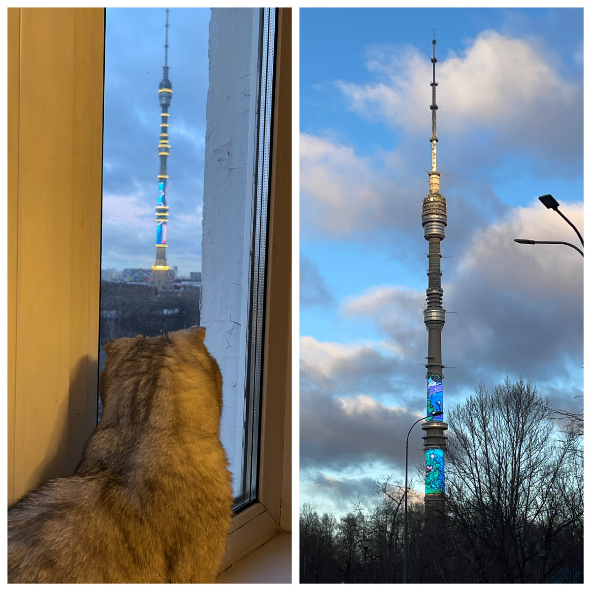 Останкинская башня прекрасна☺️