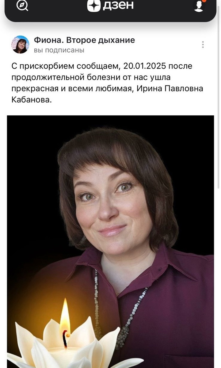 Скрин из Дзена