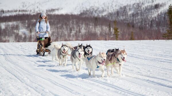    © Sputnik / Павел Львов
