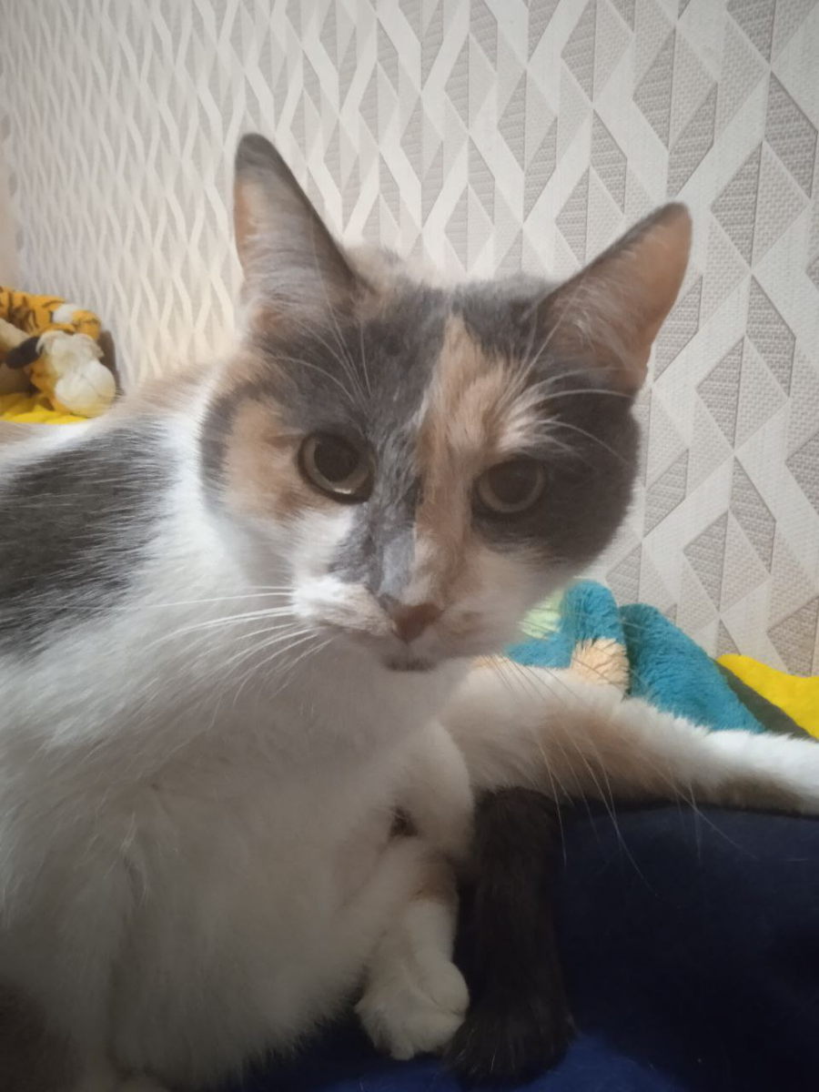 Милка смотрит с возмущением. И это она подсказала тему статьи.