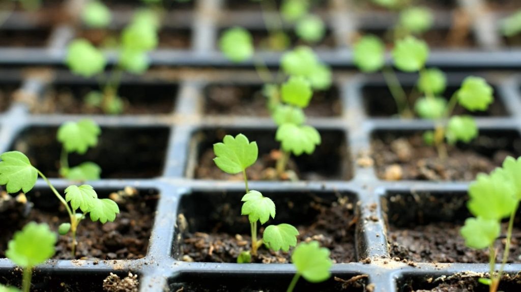 Фото из архива