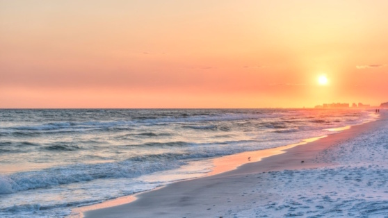    Президент Мексики высказалась о попытках Трампа переименовать Мексиканский залив Роман Захаров