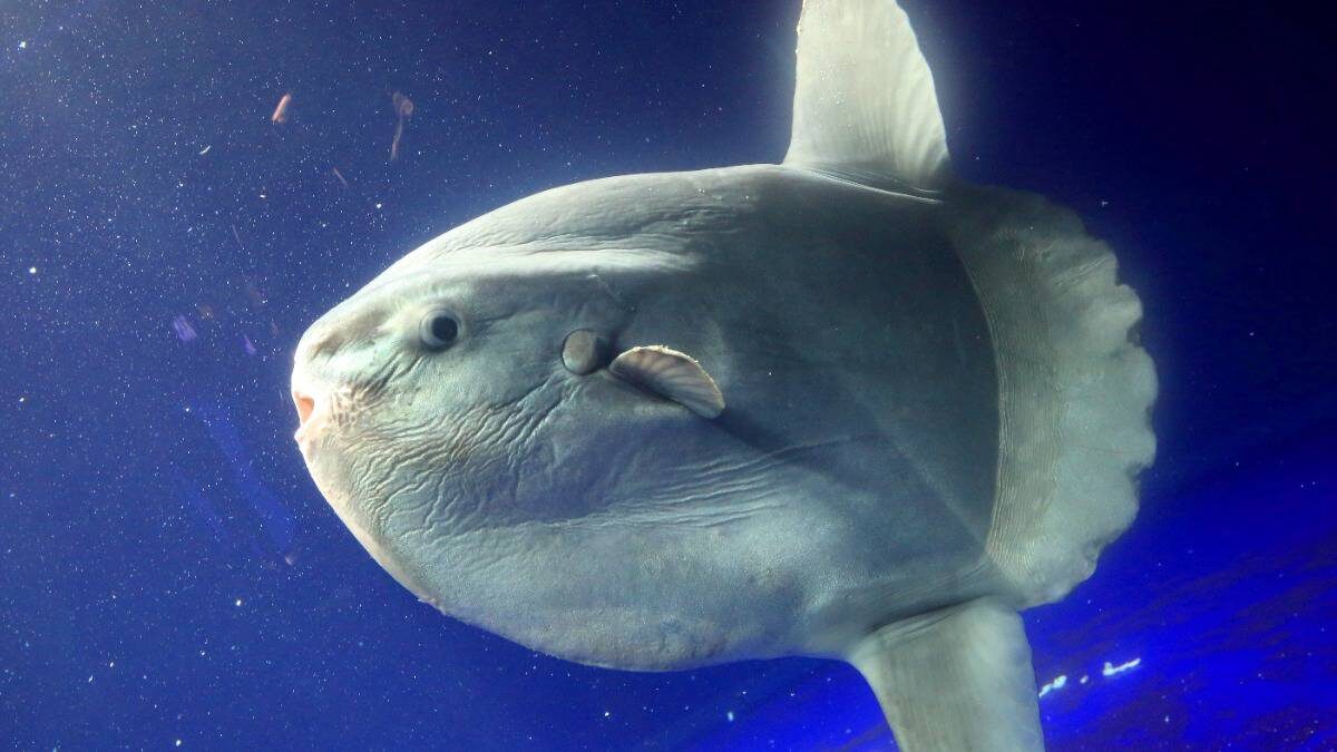    Фото: Shutterstock