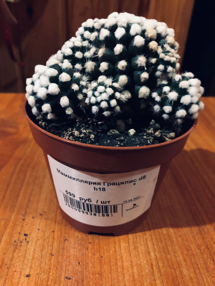 С ней мы попрощались.