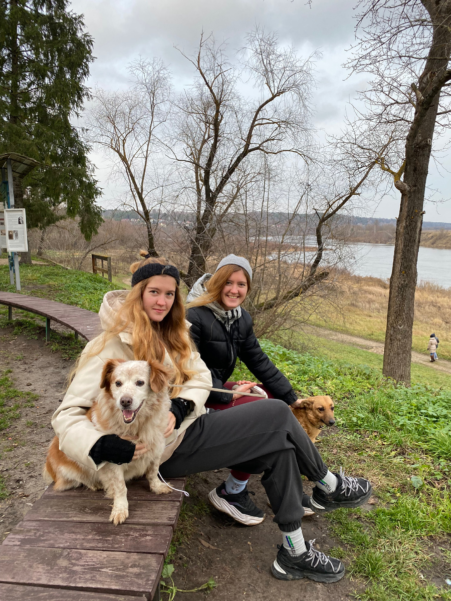 На даче, Родине Малыша. Рядом его жена 🐕 