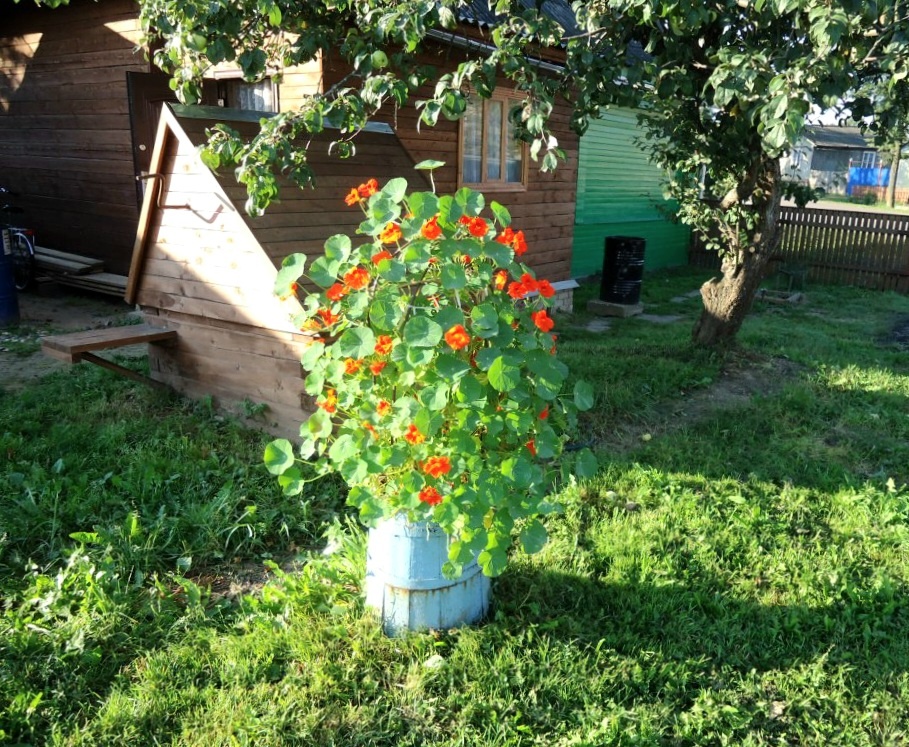 Фото автора.