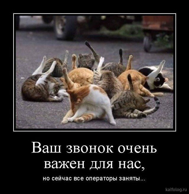 источник Яндекс-картинки