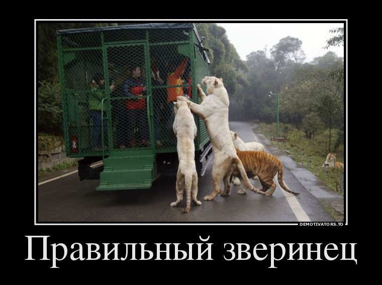 источник Яндекс-картинки