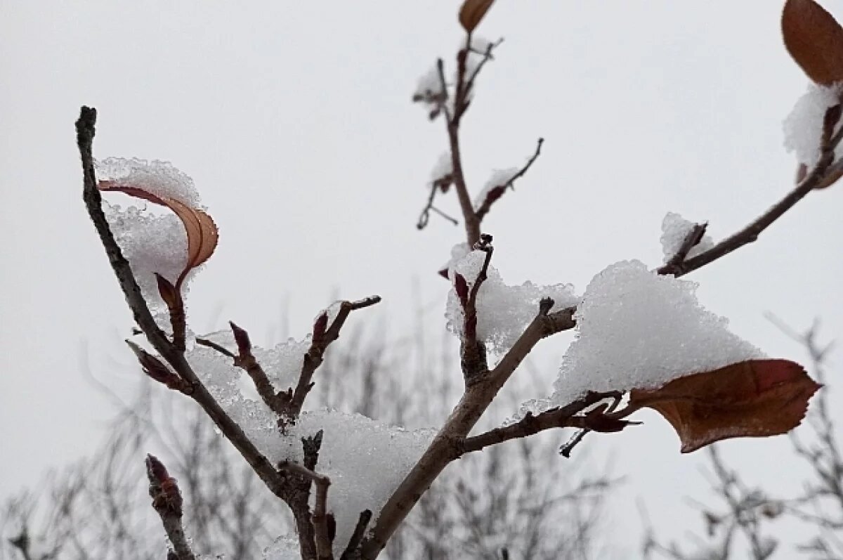    Главные запреты на Филиппов день 22 января перечислили жителям Новосибирска