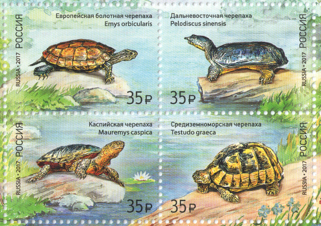 Черпахи России на почтовых марках. Дальневосточная – в верхнем правом углу. 
