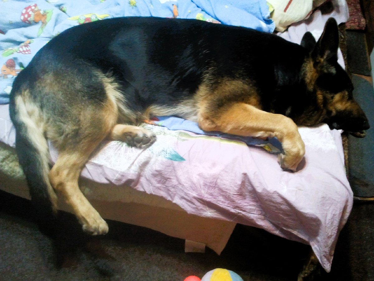 Фото автора