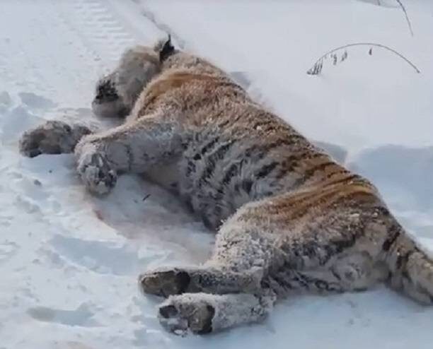    Источник фото: