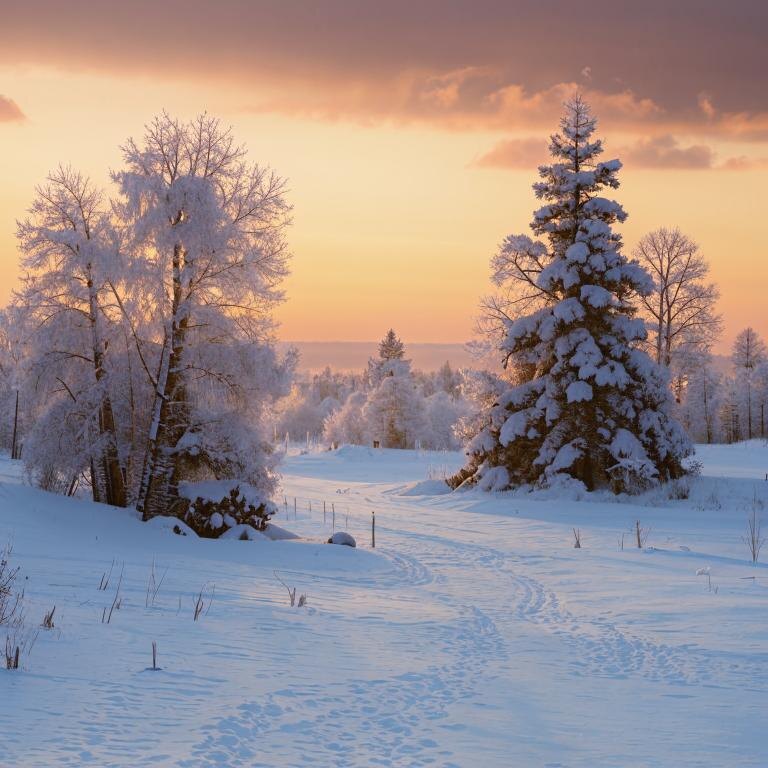 «Зимнее утро» антитеза играет образов или явления.