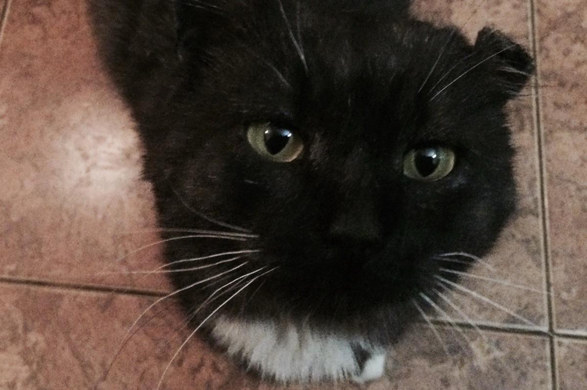 Внешность у Захара необычная, но зато есть харизма.  Фото: Фото: ФедералПресс / Ирина Юзеева