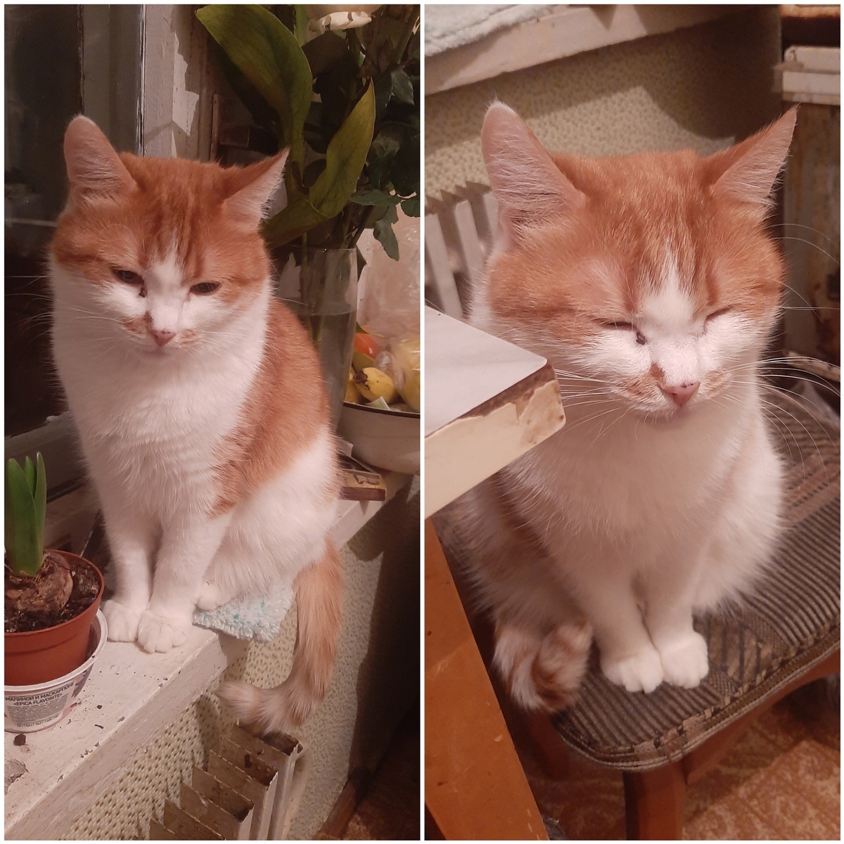 Кое-кто не привык рано просыпаться и не мог открыть глазки с утра