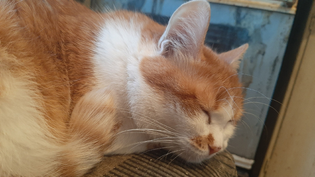 Но ему все равно нужно торчать со мной